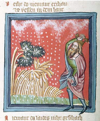 Medieval manuscript image of man wearing a crown, raising an arm into the air and watching as pellets of hail fall down upon damaged trees and crops.