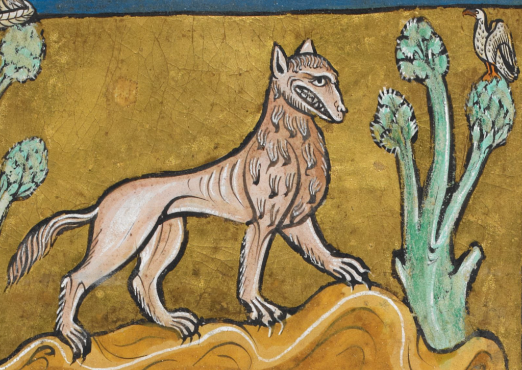 Medieval manuscript illustration of a creature that looks somewhat like a lion but without a distinctive mane and with a mouth that stretches nearly ear to ear showing its teeth menacingly; a bird observes from its perch in a nearby tree.