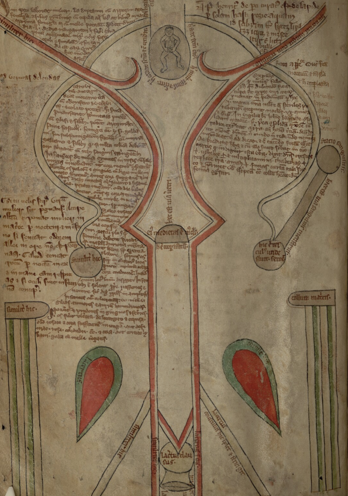 Diagram of the female reproductive system in a medieval manuscript with an oddly architectural appearance, framed by fluted column-like structures, crowded around with notes in Latin; a tiny person is in the womb.