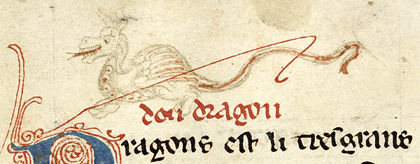Medieval manuscript image of a dragon, mouth open, red forked tongue emerging, above beginning of text about dragons.